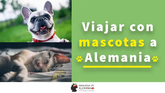 Viajar con tu mascota a Alemania